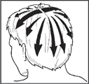 схема массажа волосистой части головы